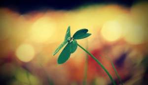 夜战养生，拳击盛宴等你来战