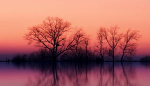 广州南站养生桑拿，身心放松新体验