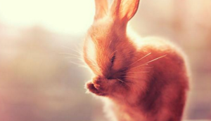 广州亚洲酒店桑拿：养生、娱乐、夜生活，一站式体验