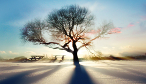 华丰桑拿夜生活，健康娱乐两不误